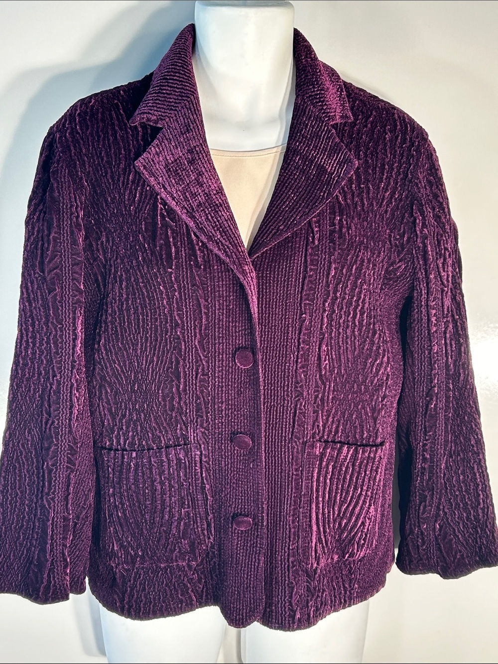 Coldwater Creek Deep Plum Textured Velvet Blazer Boho Dark Coquette Chic Dressy